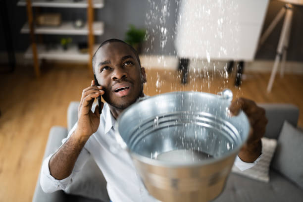 Best Mold removal after water damage  in Prestbury, IL
