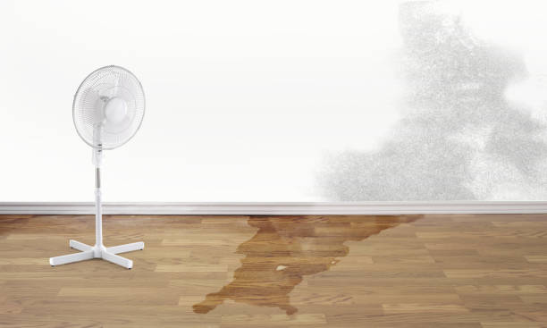 Best Sewage cleanup and water damage restoration  in Prestbury, IL