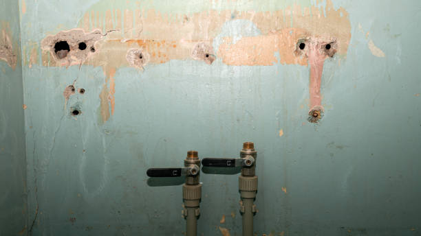 Trusted Prestbury, IL Water damage restoration Experts
