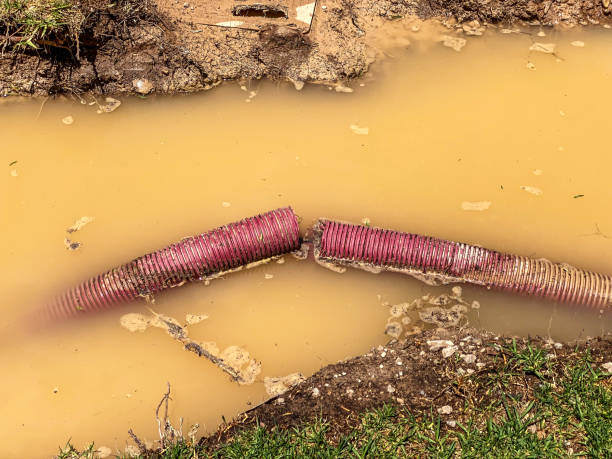 Best Water damage restoration services  in Prestbury, IL