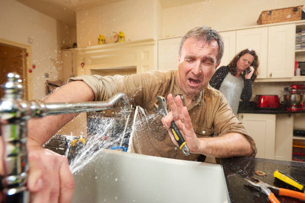 Best Flood damage cleanup  in Prestbury, IL